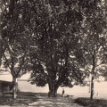 cpa-cluny-0061
