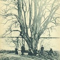 cpa-cluny-0074
