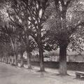 cpa-cluny-0080