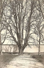 cpa-cluny-0086