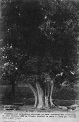 cpa-cluny-0319