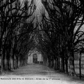 cpa-cluny-0331