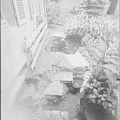 cpa-cluny-0521