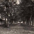 cpa-cluny-0876