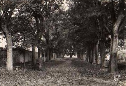 cpa-cluny-0876